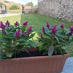 La Regalia De Requejo
