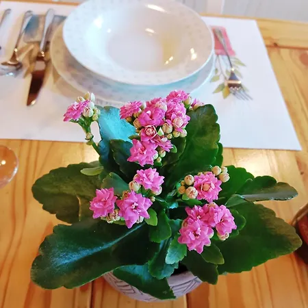 La Regalia De Requejo * Reinosa