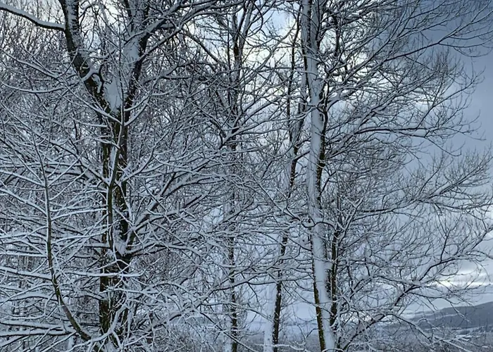 度假居 La Regalia De Requejo 雷诺萨