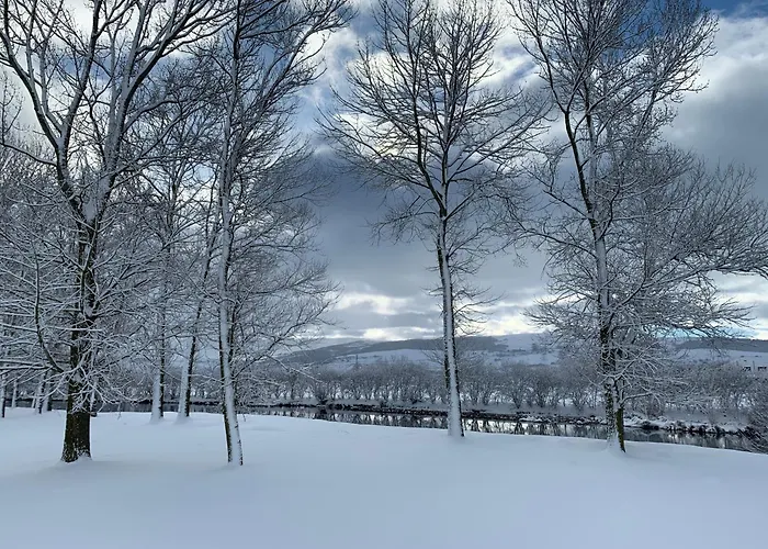 La Regalia De Requejo